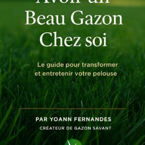 Guide complet pour un beau gazon