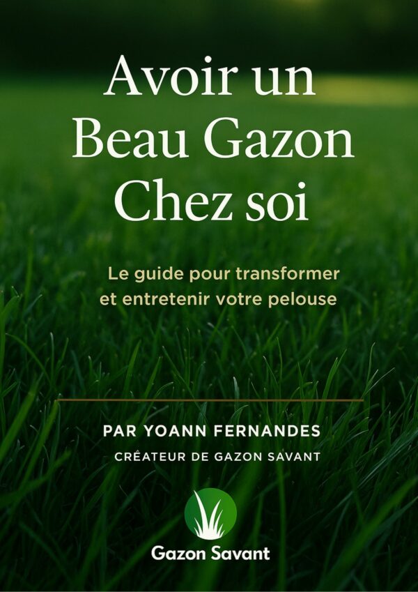 Guide complet pour un beau gazon